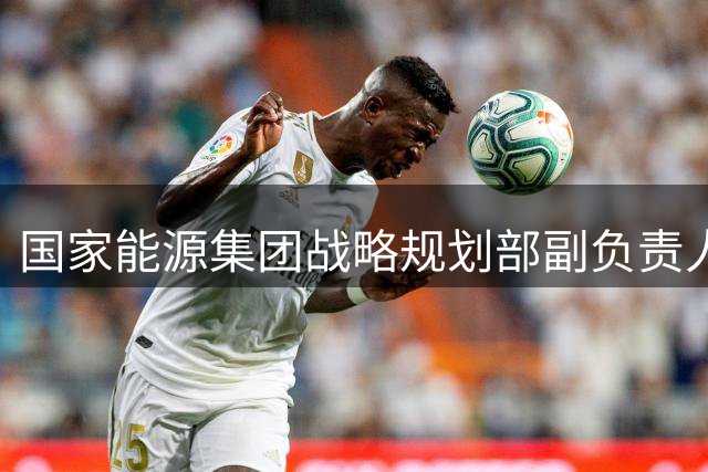 国家能源集团战略规划部副负责人翟文接受纪律审查和监察调查