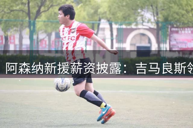 阿森纳新援薪资披露：吉马良斯领衔 措利斯性价比高